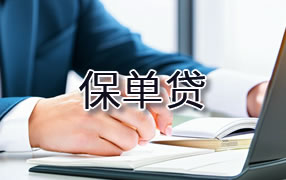 保山保单贷