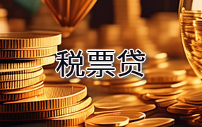 保山税票贷